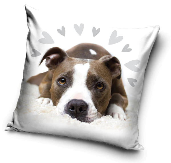 Hund Kissen  - Personalisierung möglich